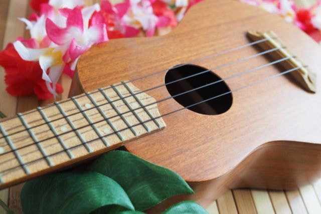 愛知県蒲郡市 ウクレレ 個人レッスン